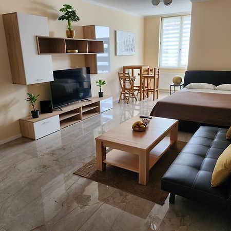 Studio Apartman Borlin Карловац Экстерьер фото
